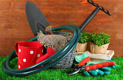 Utensílios para jardim: onde comprar itens indispensáveis
